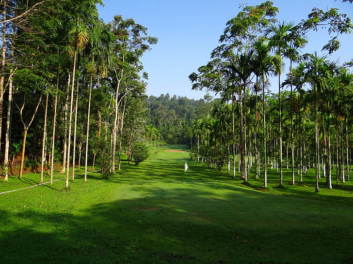 голф игрище, голф, спорт, тревата, ammathi, Карнатака, Индия