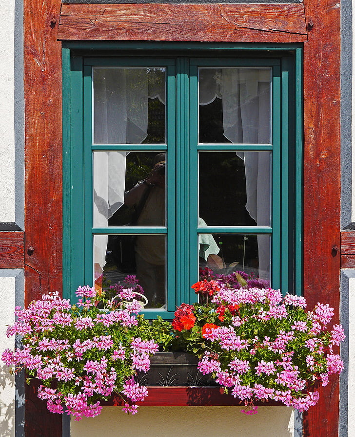 cvet, geranije, Krovište, okensko polico, fachwerkhaus, balkonske rastline, šopek