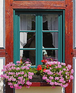 flor, Gerani, carcassa, ampit de finestra, fachwerkhaus, plantes de balcó, capsa de flors
