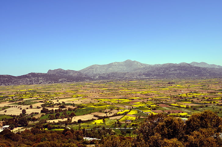 Grécia, paisagens, Creta, agricultura, fazenda, campo, cena rural