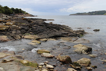 Côte, Rock, mer, steinig, réservé (e), nature, eau