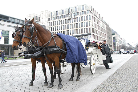 chevaux, carrozza, romantique, Berlin, à pied, calèche