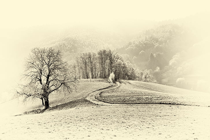 landscape, monochrome, black and white, retro, cold temperature, winter, nature