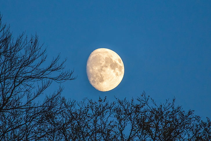 місяць, Чудовий, небо, дерева, Віндзор, місяць, повний місяць