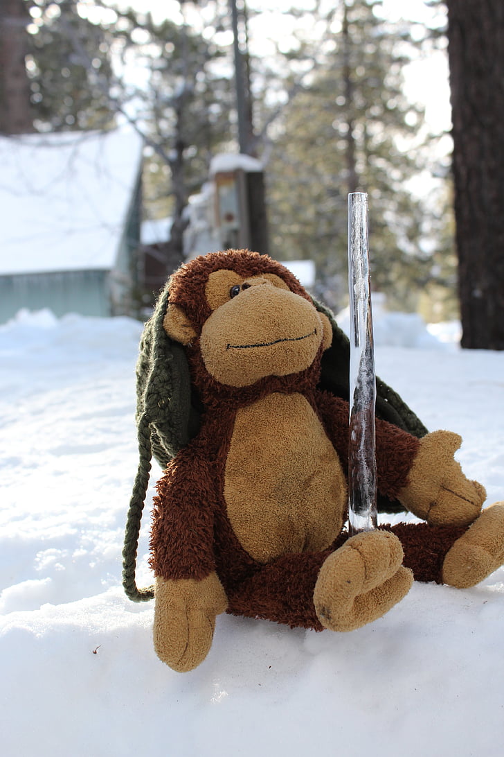 stuffed animal, monkey, snow