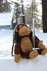 Plyšák, Monkey, sneh