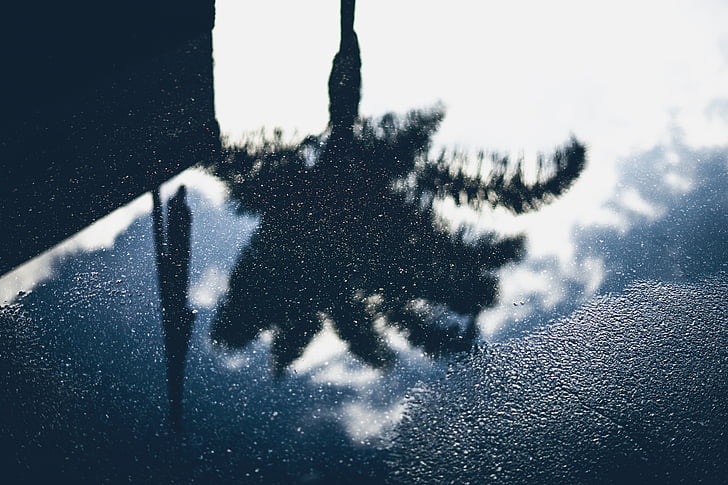 Wasser, Straße, Reflexion, Bäume, Himmel, Wolken, Schnee