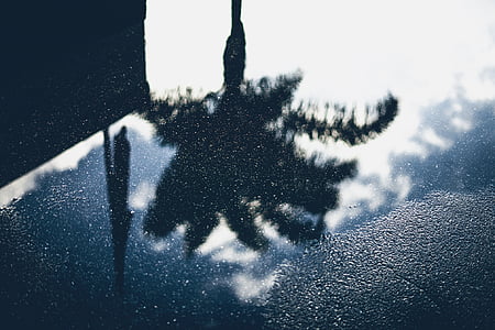 vatten, Road, reflektion, träd, Sky, moln, snö