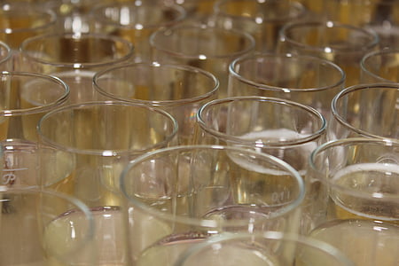 Champagne glas, champagne, briller, glas