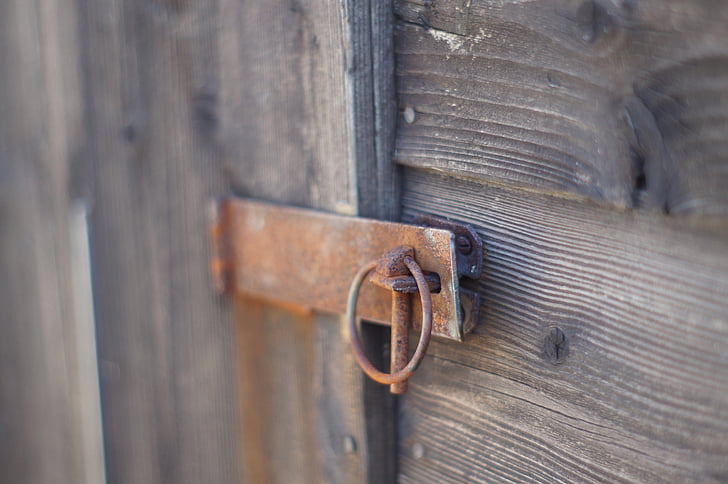 shed, lock, clasp, wood, shallow depth, building, garden shed