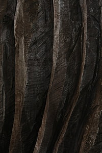 natura, talla, fusta, fons, patró, fusta - material, amb textura