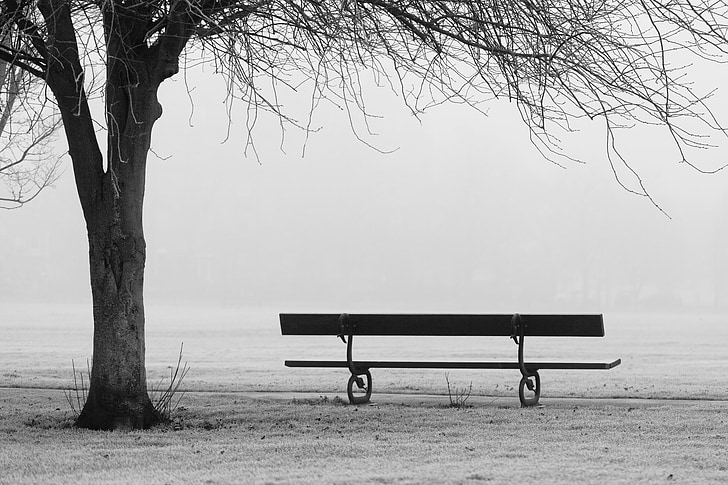 autumn, bench, fall, fog, foggy, landscape, mist