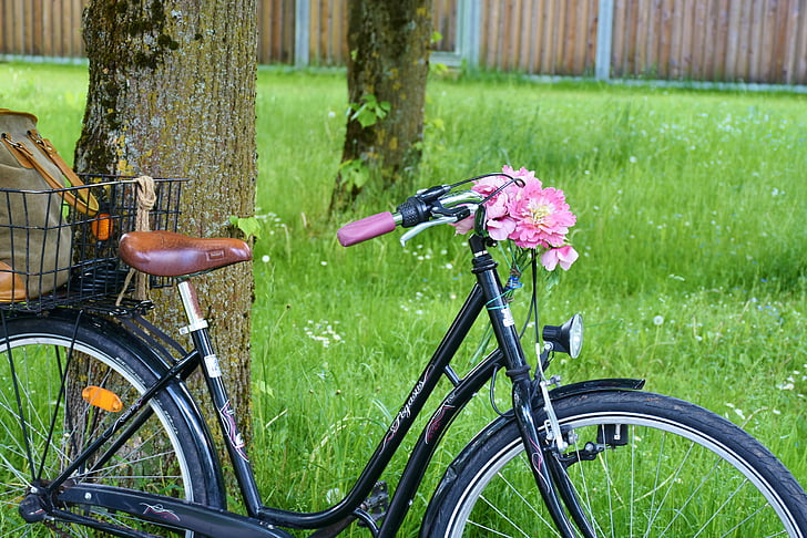 bicikl, kolo, ciklus, biciklizam, dva kotača vozila, motorički, šarene bicikl