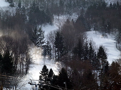 ski slope, snow, trees, winter, ski, forest