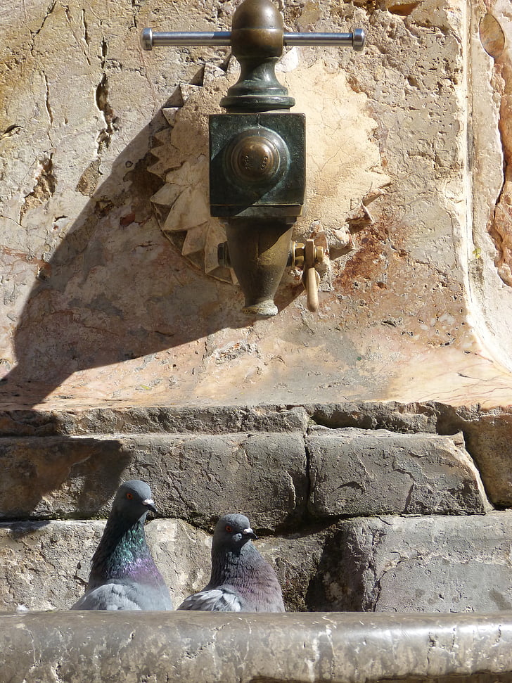 fuente, antiguo, palomas, Monumento, Tarragona