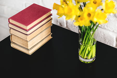 žlutá, květ, váza, tabulka, knihy, rozostření, zelená barva