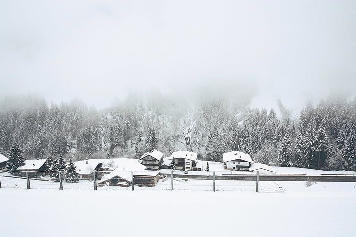 cold, foggy, forest, houses, mist, small town, snow