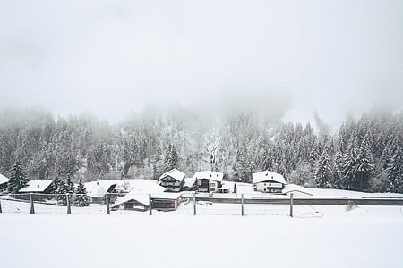 hus, snö, Pine, träd, hus, vinter, bostäder