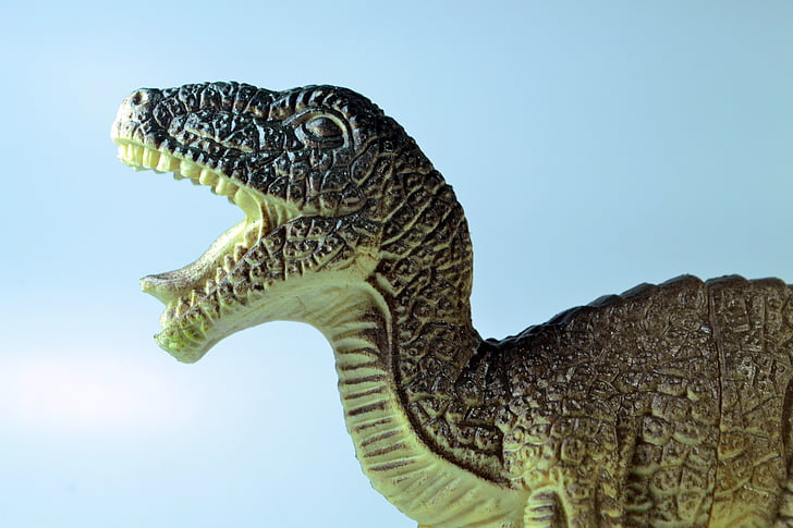 dinossauro, Tiranossauro, brinquedo, animal, Jurássico, predador, réptil