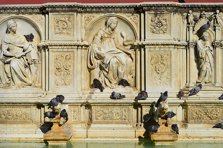 gołębie, Historia, Fontanna, Włochy, Relief, Architektura, Siena