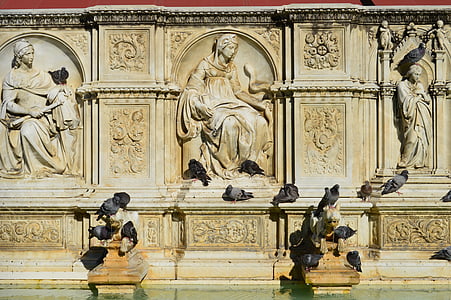 pigeons, history, fountain, italy, relief, architecture, siena