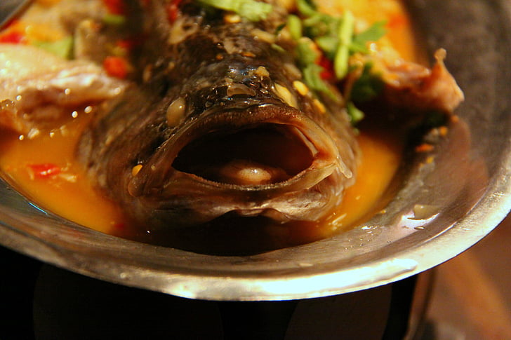 Taiwan, comer, peixe, comida, Tribunal, cabeça de peixe