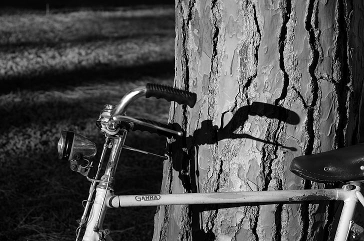 bicycle, tree, shadow, handlebars, old, outdoors, old-fashioned
