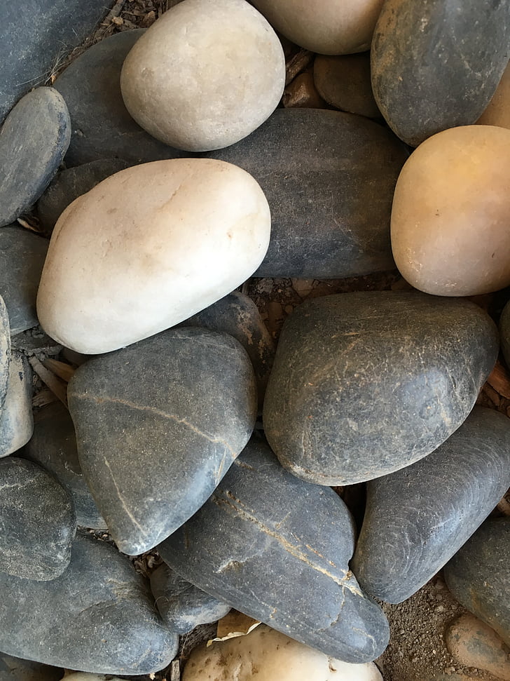 piedras, cantos rodados, roca, gris, gris, Blanco, jardín