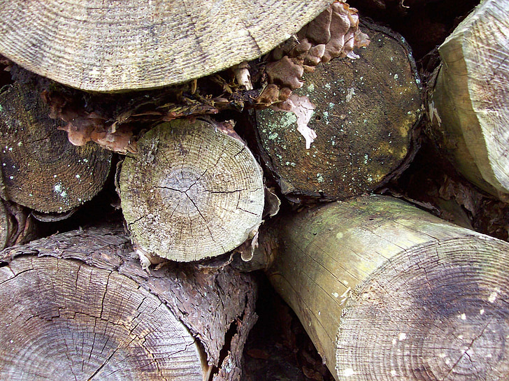 Woodpile, Dzienniki, drzewa, drewno, lasu, ułożone, tekstury