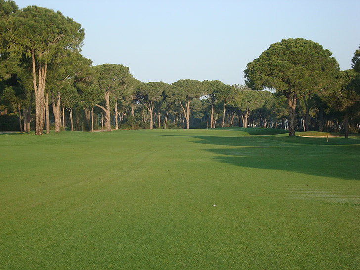 campo de golfe, Golf, Prado, desporto, Rush, árvores, verde