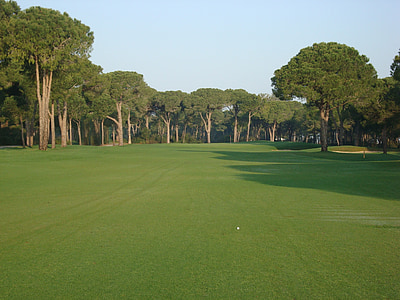 camp de golf, Golf, Prat, esport, febre, arbres, verd