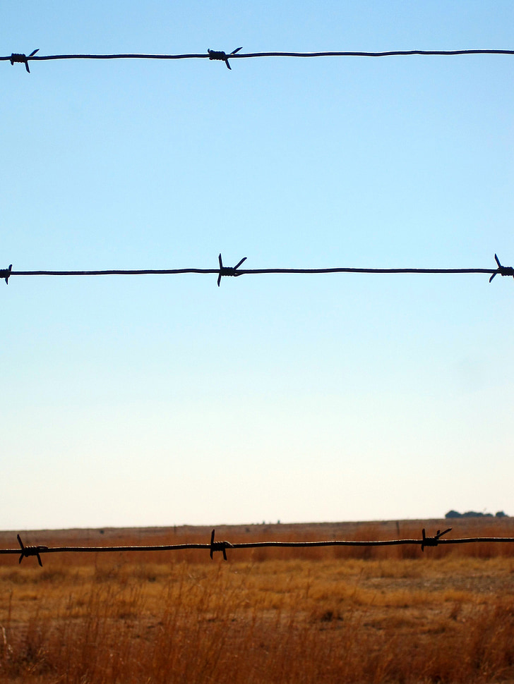 barbed wire, wire, fence, barbed, sharp, straight, taught