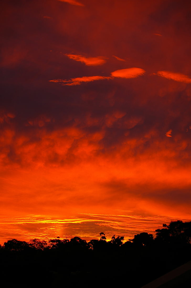 solnedgång, röd, horisontell, moln, solljus, Orange, Vacker