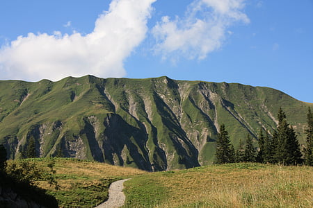 Àustria, muntanyes, alpí, Alm, paisatge, panoràmica, natura