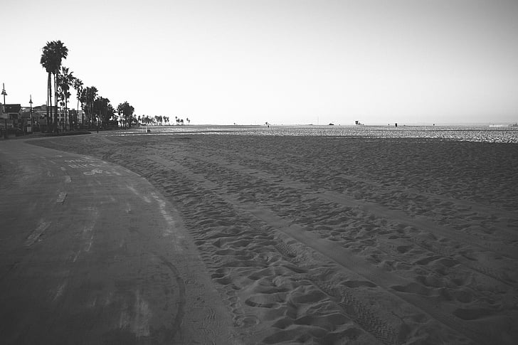pilka, smėlio, paplūdimys, palmės, vandens, vandenyno, jūra