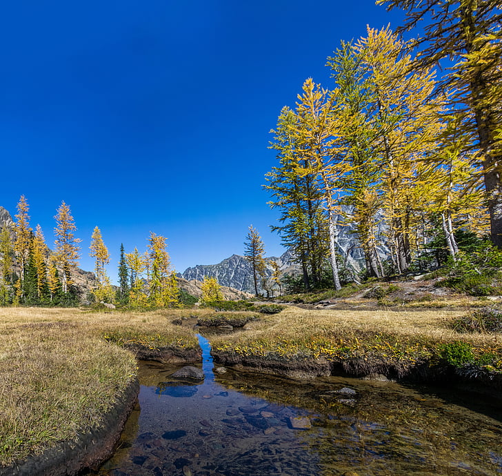 brook, meadow, wilderness, stream, lake, streamlet, alpine