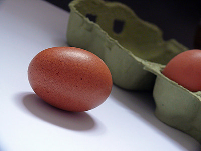 αυγό, χαρτοκιβώτιο αυγών, αυγά κότας, τροφίμων, κουτί αυγών, καφετιά αυγά, συσκευασίας αυγών