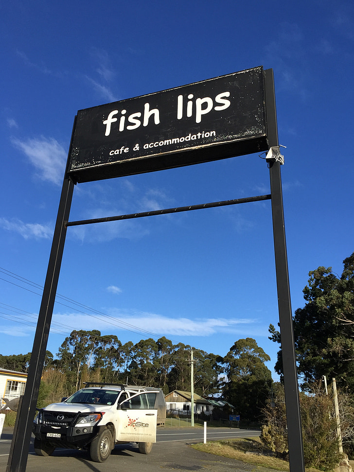 sign, fish lips, fish, lips, funny, icon, cafe