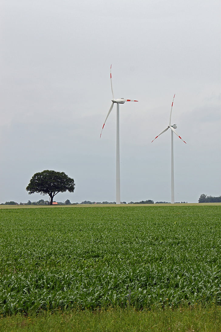 molinet de vent, energia, energia eòlica, energia eòlica, turbina de vent, actual, energies renovables