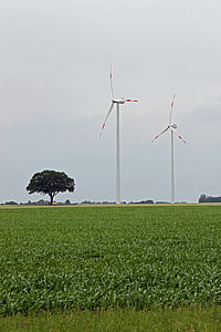 风车, 能源, 风力发电, 风力发电, 风力发电机组, 当前, 可再生能源