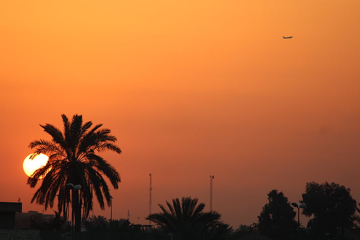 Západ slunce, údaje, strom, oranžová, slunce, letadlo, Irák