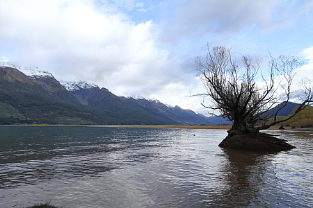 Nowa Zelandia, widokiem na jezioro, woda drzewo