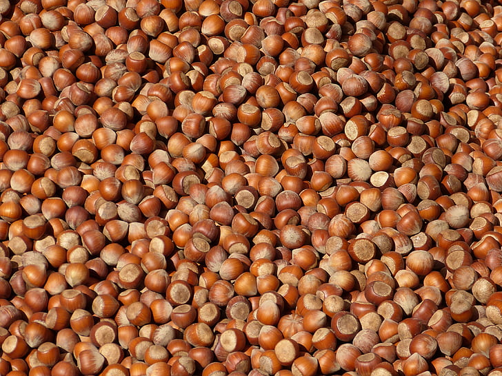 nut, nuts, hazelnuts, shell, brown, market, food