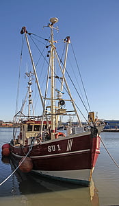 camarão, cortador de, Porto, Mar do Norte