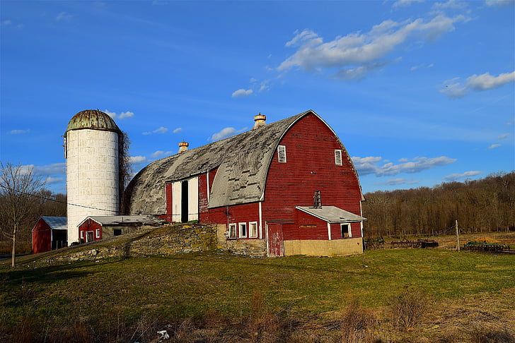 farm, barn, rural, silo, agriculture, country, field