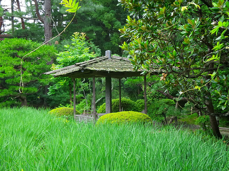 japan, garden, shelter, wood, green