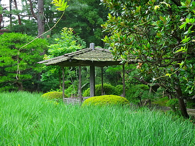 Japonia, ogród, schronienie, drewno, zielony