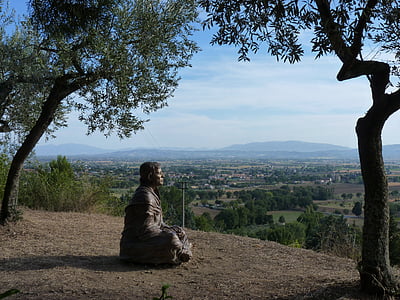 Assisi, Italia, Statua, albero di ulivo, paesaggio, vista