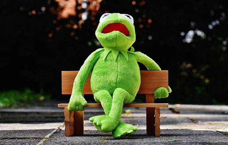 Kermit, rana, Banco, resto, sentarse, Figura, gracioso