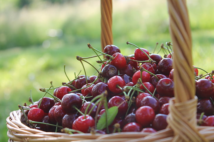 třešně a višně, vozík, Příroda, ovoce, Koš, jídlo a pití, zdravé stravování